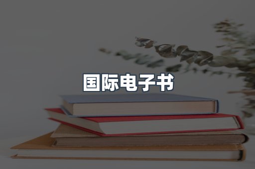 国际电子书